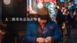 太二酸菜鱼总部在哪里