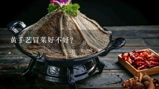 黄手艺冒菜好不好？