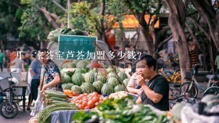 开一家荟宝芦荟加盟多少钱？