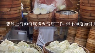 想到上海的海底捞火锅店工作,但不知道如何去？