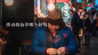 悸动烧仙草哪个好喝？