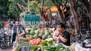 小生意加盟项目有哪些？