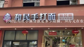 农村信用社小额贷款是多少限额，30万元在农村信用社贷款需要夫妻双方共同签字嘛