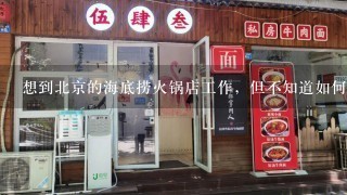 想到北京的海底捞火锅店工作，但不知道如何去。