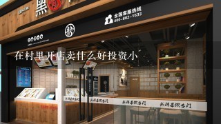 在村里开店卖什么好投资小