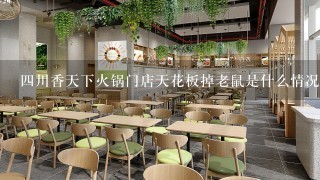 四川香天下火锅门店天花板掉老鼠是什么情况？