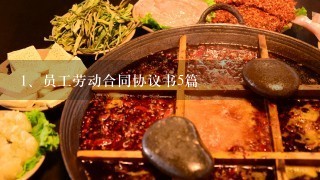 员工劳动合同协议书5篇