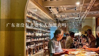 广东省没有老婆大人加盟店吗