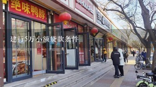 建行5万小额贷款条件