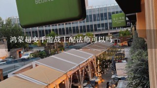 鸿蒙超变手游战士配法师可以吗