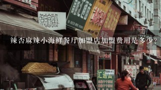 辣否麻辣小海鲜餐厅加盟店加盟费用是多少？