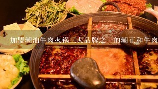 加盟潮汕牛肉火锅三大品牌之一的潮正和牛肉火锅回本快？我没有加盟过的人。