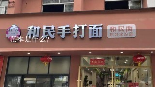 范本是什么?