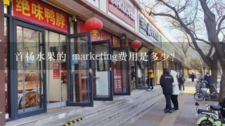 首杨水果的 marketing费用是多少?